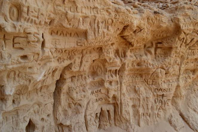 10250046_10203877692896805_5827988248284024721_n