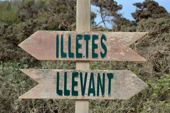 10639591_10203877740938006_2818919912588973279_n