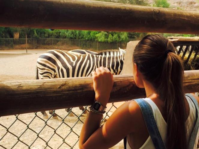 11150913_10206082847944303_1701295583348100512_n