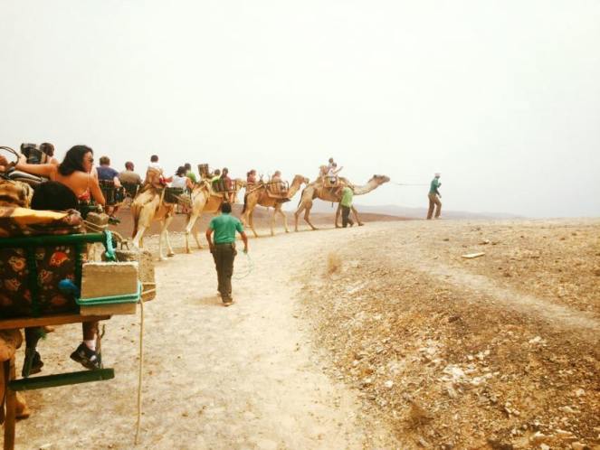 11889465_10206082843224185_8200260283714432898_n