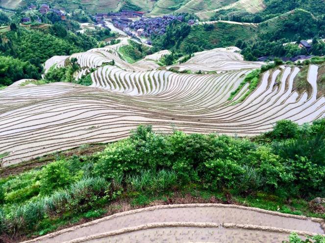 13494975_10208127491579116_7457263167770744434_n