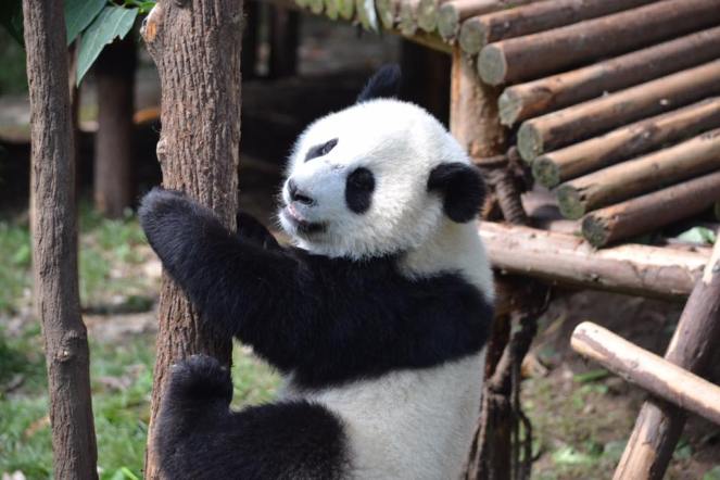 13502130_10208127399776821_5819891485477573720_n