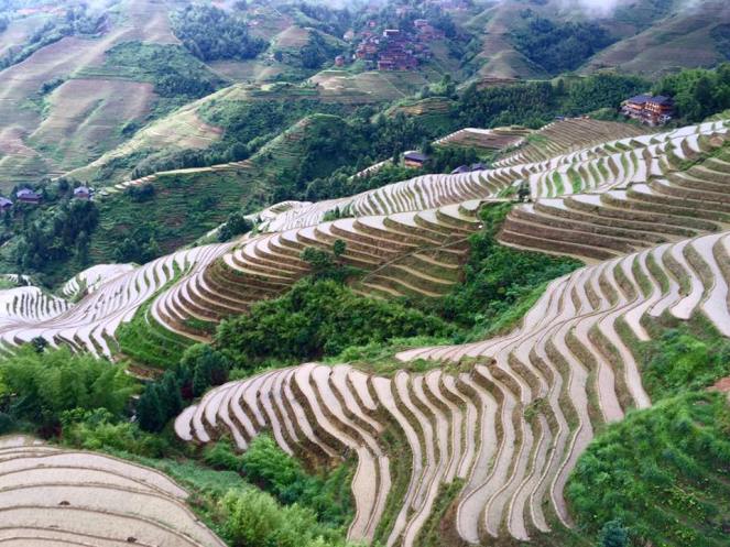 13512133_10208127490219082_4743931666421566988_n