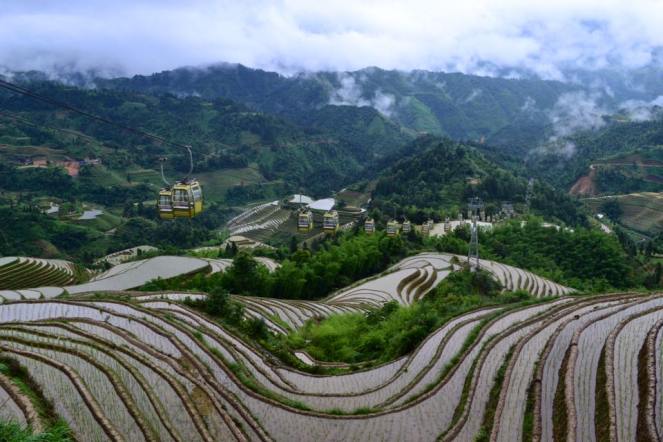 13516390_10208127492539140_8308592047824570795_n