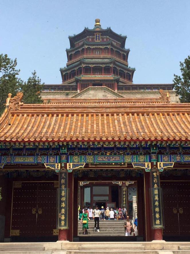 13516419_10208127392856648_7082346324937412760_n