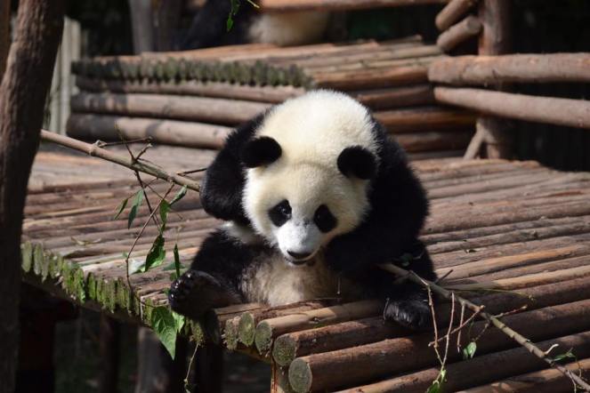 13528696_10208127484098929_3127621403354034993_n