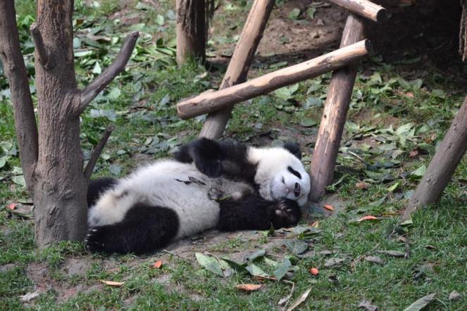 13528726_10208127483418912_5015056228431592023_n