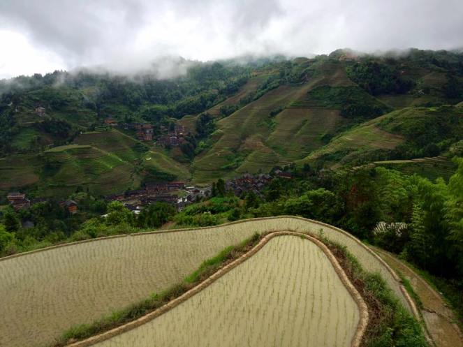 13532864_10208127490339085_205246110727993081_n