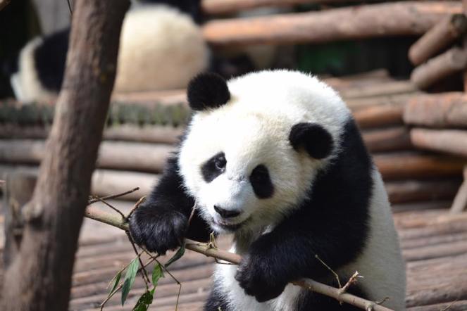 13533120_10208127483738920_423767447160642196_n