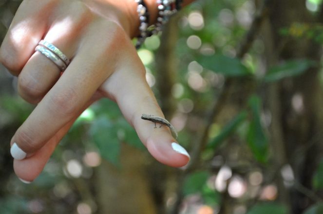 20748286_10211677982739176_1270751306677272852_o