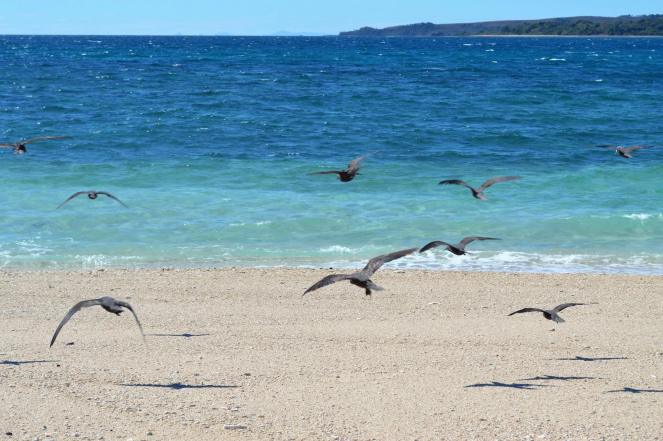 20861548_10211678008499820_8788396218681149675_o