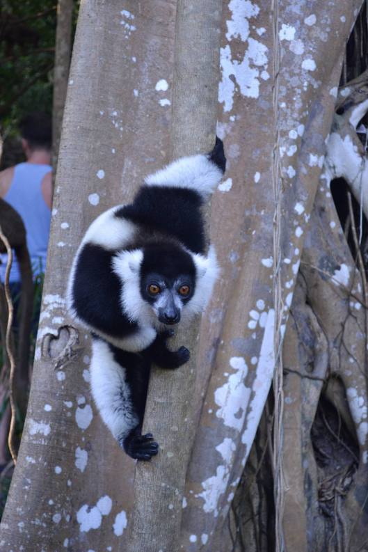 20863598_10211677977939056_9217428474978763975_o