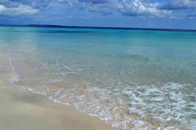 227425_10203877758058434_1068003786830700205_n